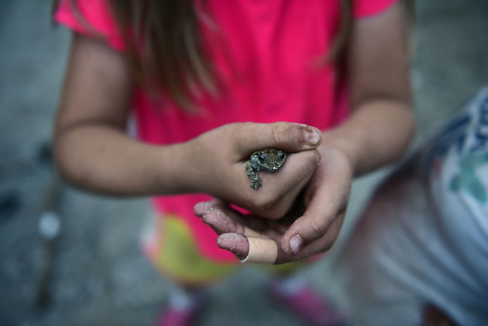 Mia Heyen Frog